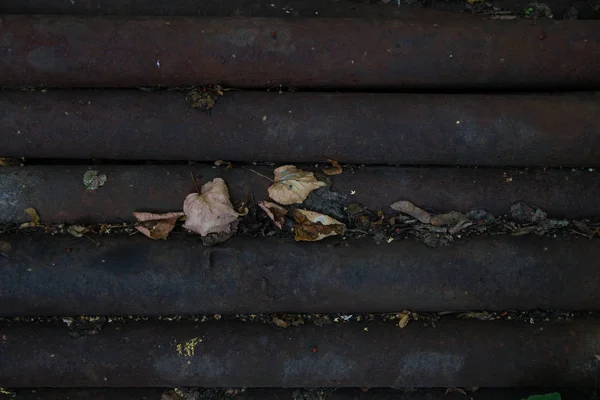 Staré Kovové Trubky Leží Sobě Několik Žlutých Suchých Listů Pokrývá — Stock fotografie