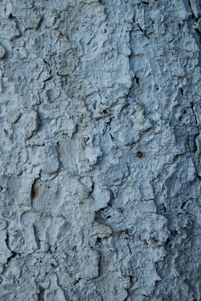 灰色のペンキで覆われた木の幹の背景 老齢からひび割れ — ストック写真