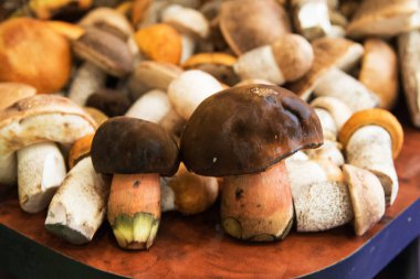 portakal, kahverengi kapaklar ve farklı boyutlarda beyaz bacaklar ile hasat orman yenilebilir mantar demet masada yalan