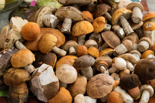 오렌지 모자와 다리와 버섯의 테이블에 누워있다 — 스톡 사진