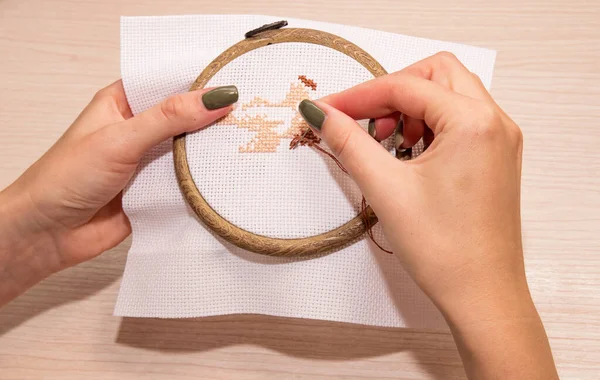 Vrouwen Handen Houden Een Wit Doek Een Hoepel Met Een — Stockfoto