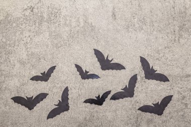 Cadılar Bayramı dekorasyon konsepti - gri taş arkaplanda siyah yarasalar