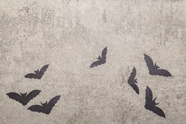 万圣节装饰概念-灰色石料混凝土背景上的黑色蝙蝠 — 图库照片