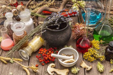 Cadı Laboratuvarı. Simya ekipmanı, Cadılar Bayramı konsepti