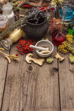 Cadı Laboratuvarı. Simya ekipmanı, Cadılar Bayramı konsepti