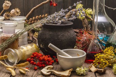 Cadı Laboratuvarı. Simya ekipmanı, Cadılar Bayramı konsepti