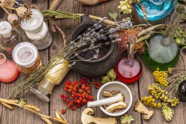 Cadı Laboratuvarı. Simya ekipmanı, Cadılar Bayramı konsepti