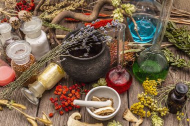 Cadı Laboratuvarı. Simya ekipmanı, Cadılar Bayramı konsepti