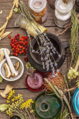 Cadı Laboratuvarı. Simya ekipmanı, Cadılar Bayramı konsepti