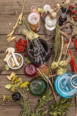 Cadı Laboratuvarı. Simya ekipmanı, Cadılar Bayramı konsepti