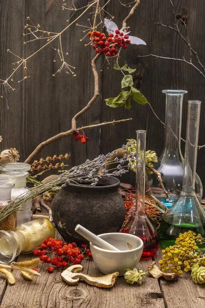 Witch's Laboratory. Alchemical equipment, Halloween concept — Stock Photo, Image