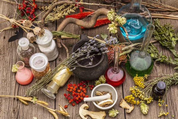 Cadı Laboratuvarı. Simya ekipmanı, Cadılar Bayramı konsepti