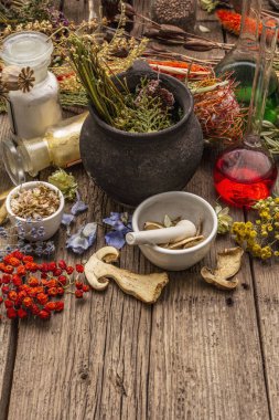 Cadı Laboratuvarı. Simya ekipmanı, Cadılar Bayramı konsepti