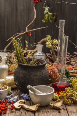 Cadı Laboratuvarı. Simya ekipmanı, Cadılar Bayramı konsepti