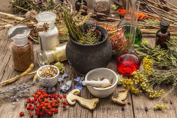 Laboratório das Bruxas. Equipamento alquímico, conceito de Halloween — Fotografia de Stock