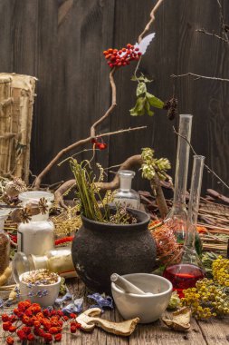 Cadı Laboratuvarı. Simya ekipmanı, Cadılar Bayramı konsepti