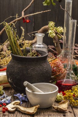 Cadı Laboratuvarı. Simya ekipmanı, Cadılar Bayramı konsepti