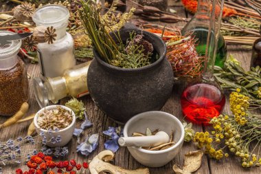 Cadı Laboratuvarı. Simya ekipmanı, Cadılar Bayramı konsepti