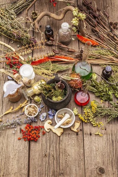 Laboratório das Bruxas. Equipamento alquímico, conceito de Halloween — Fotografia de Stock