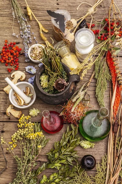 Hexenlabor. alchemistische Ausrüstung, Halloween-Konzept — Stockfoto