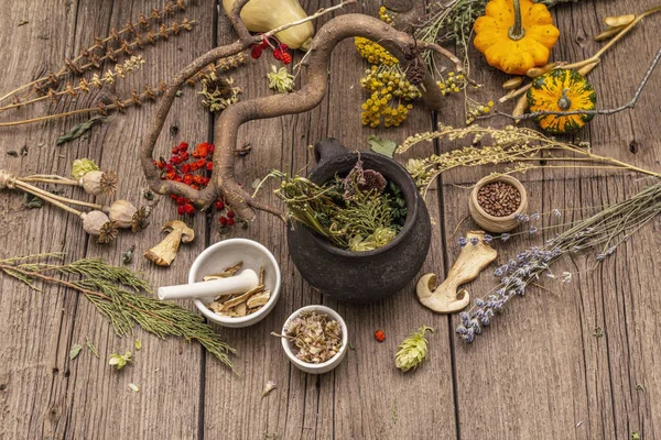 Witch's Laboratory. Alchemical equipment, Halloween concept — Stock Photo, Image