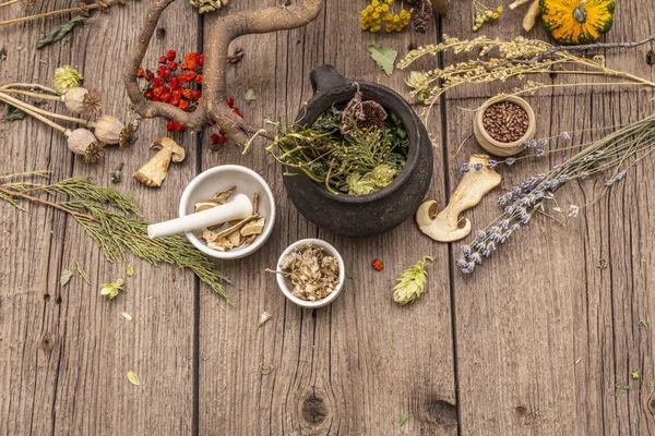 Witch's Laboratory. Alchemical equipment, Halloween concept — Stock Photo, Image