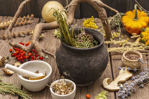 Witch's Laboratory. Alchemical equipment, Halloween concept — Stock Photo, Image