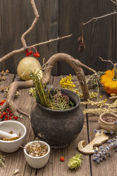 Het heksenlaboratorium. Alchemische apparatuur, Halloween concept — Stockfoto