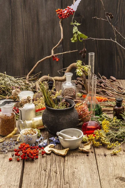 Laboratório das Bruxas. Equipamento alquímico, conceito de Halloween — Fotografia de Stock