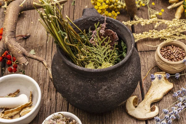 Witch's Laboratory. Alchemical equipment, Halloween concept — Stock Photo, Image