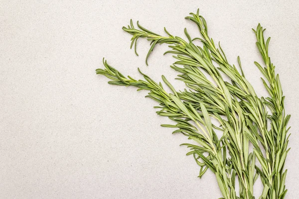 Fresh Rosemary bunch. Raw herb sprigs — Stock Photo, Image