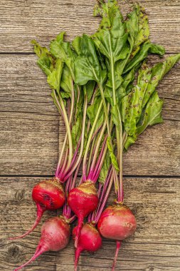 Taze organik pancar. Sonbahar hasadı sebze. Hazırlık sağlıklı gıda konsepti