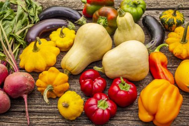 Sonbahar hasadı sebze. Pancar, patlıcan, balkabağı, biber, kabak, kabak.