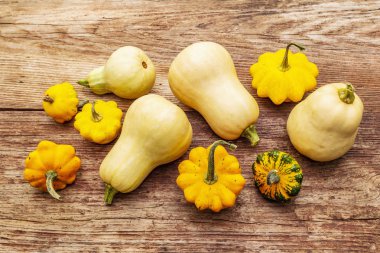 Sonbahar hasat balkabakları. Farklı kabak türleri kümesi