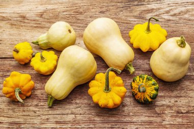 Sonbahar hasat balkabakları. Farklı kabak türleri kümesi