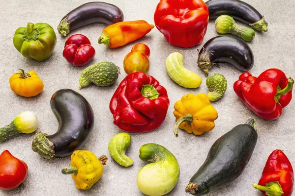 Son moda çirkin organik sebzeler. Taze biber, patlıcan, salatalık, domates, balkabağı çeşitleri. — Stok fotoğraf