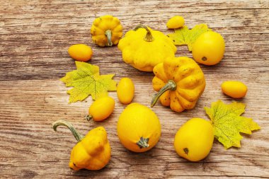 Sonbahar hasat sebzeleri pişirme arka planı. Sarı domates ve balkabağı çeşitleri