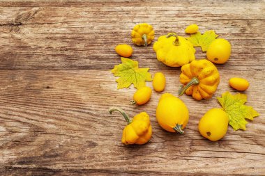 Sonbahar hasat sebzeleri pişirme arka planı. Sarı domates ve balkabağı çeşitleri