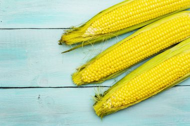 Taze çiğ mısır koçanı üzerinde