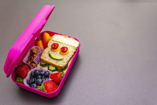 School lunch box — Stock Photo, Image