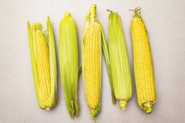 Taze tatlı mısır koçanı üzerinde