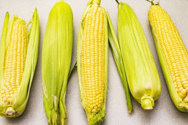 Taze tatlı mısır koçanı üzerinde