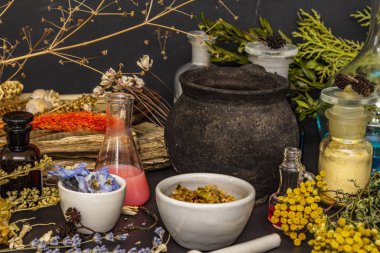 Cadılar Bayramı konsepti Cadının simya laboratuvarı.