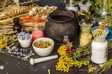 Cadılar Bayramı konsepti Cadının simya laboratuvarı.