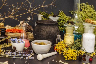 Cadılar Bayramı konsepti Cadının simya laboratuvarı.