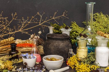 Cadılar Bayramı konsepti Cadının simya laboratuvarı.