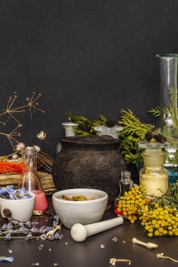 Cadılar Bayramı konsepti Cadının simya laboratuvarı.