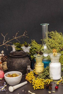 Cadılar Bayramı konsepti Cadının simya laboratuvarı.