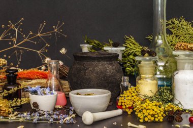 Cadılar Bayramı konsepti Cadının simya laboratuvarı.