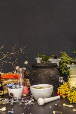 Cadılar Bayramı konsepti Cadının simya laboratuvarı.